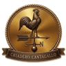 Criadero Cantagallo
